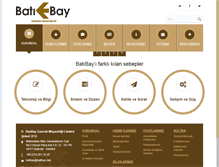 Tablet Screenshot of batibay.com